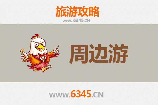 宜宾长宁周边游攻略：蜀南竹海与美食探秘之旅
